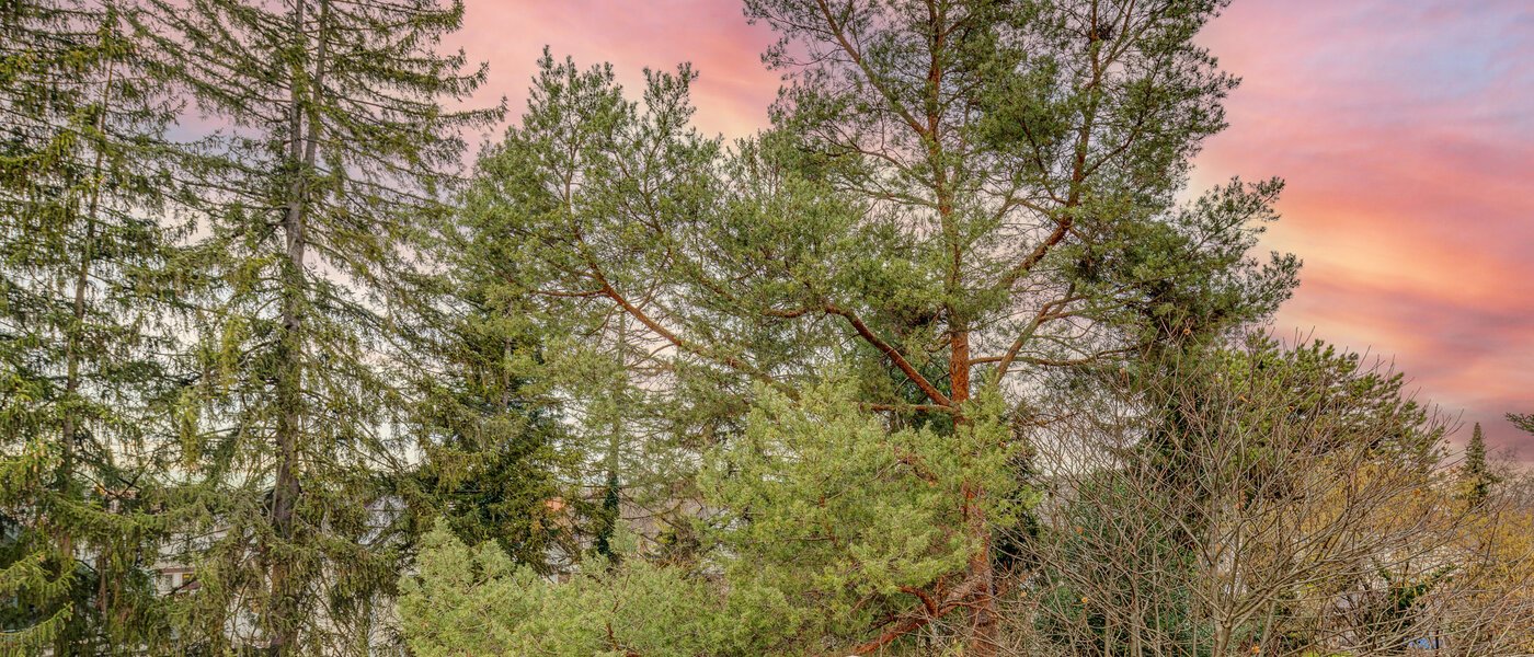 Dachterrassenwohnung München Moosach 03 Aussicht 13292