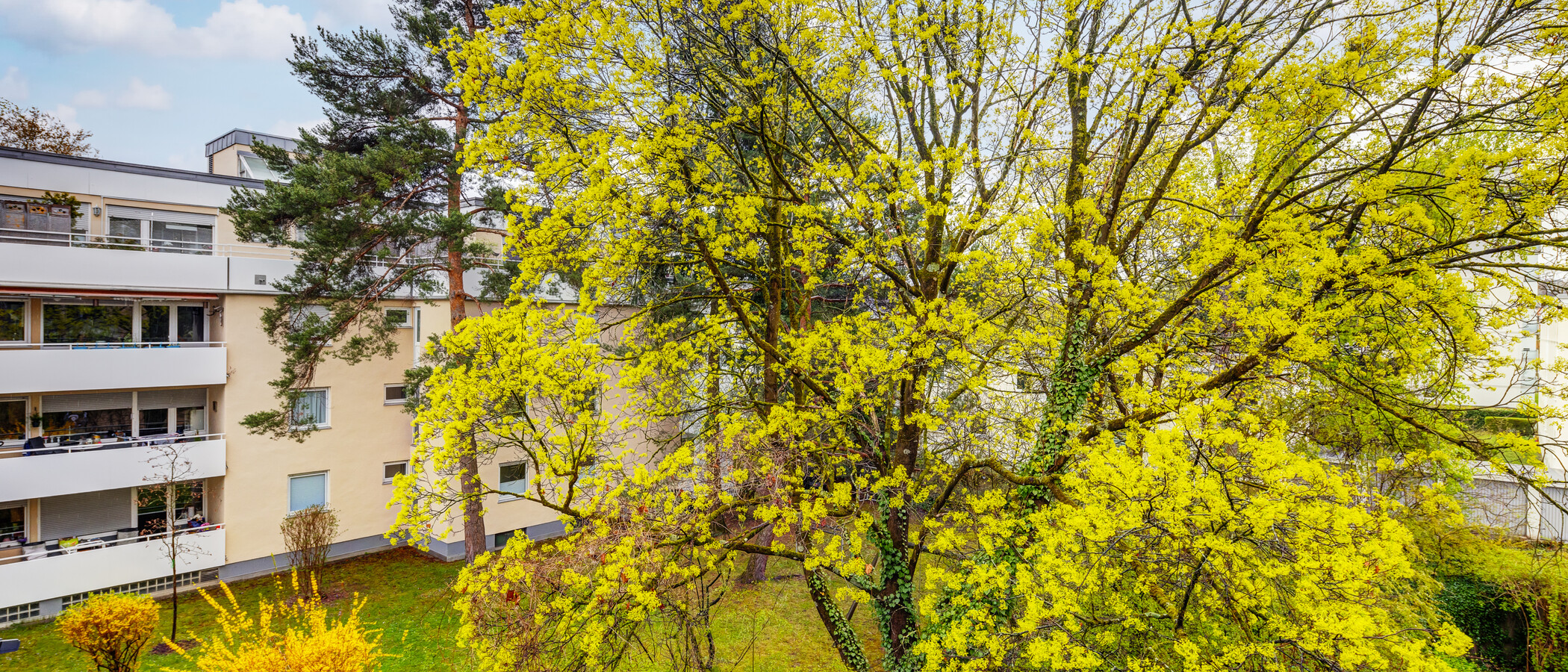 Wohnung München Nymphenburg 01 Aussicht 13438