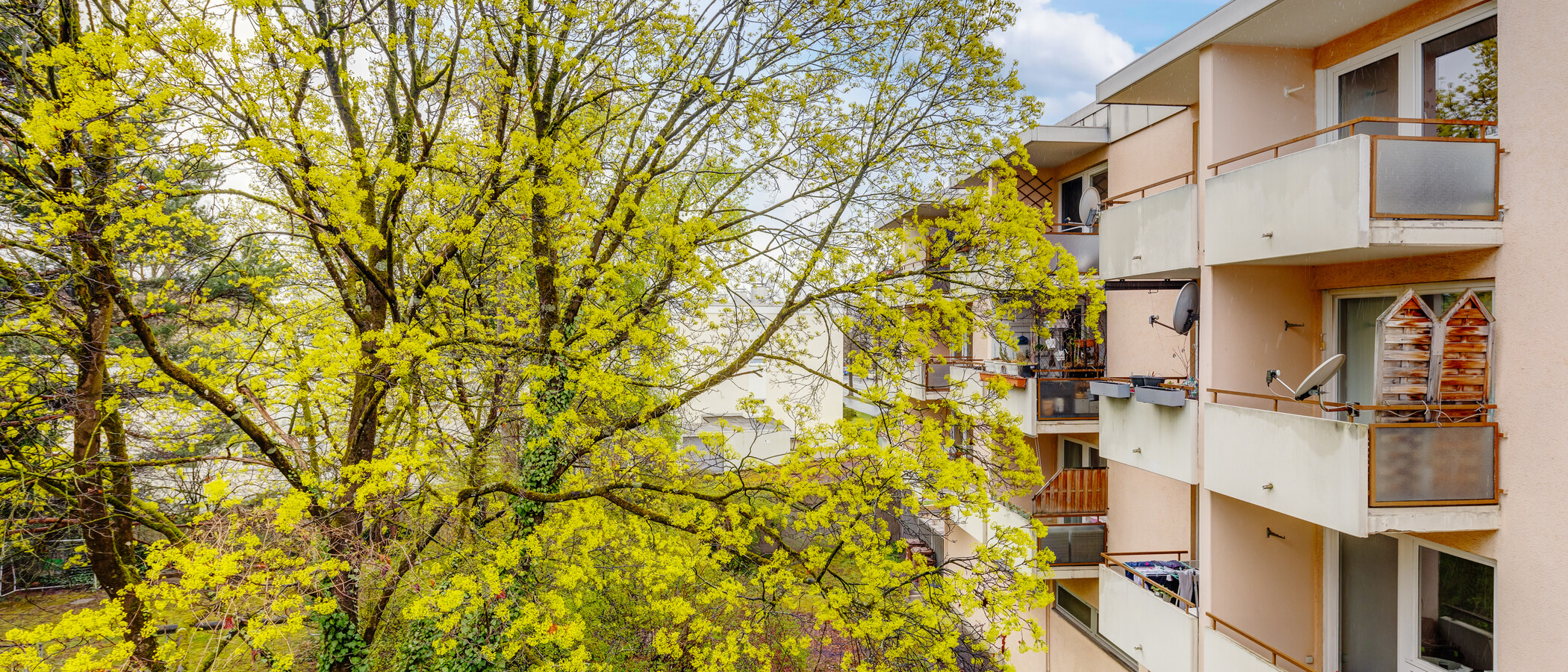 Wohnung München Nymphenburg 02 Aussicht 13438