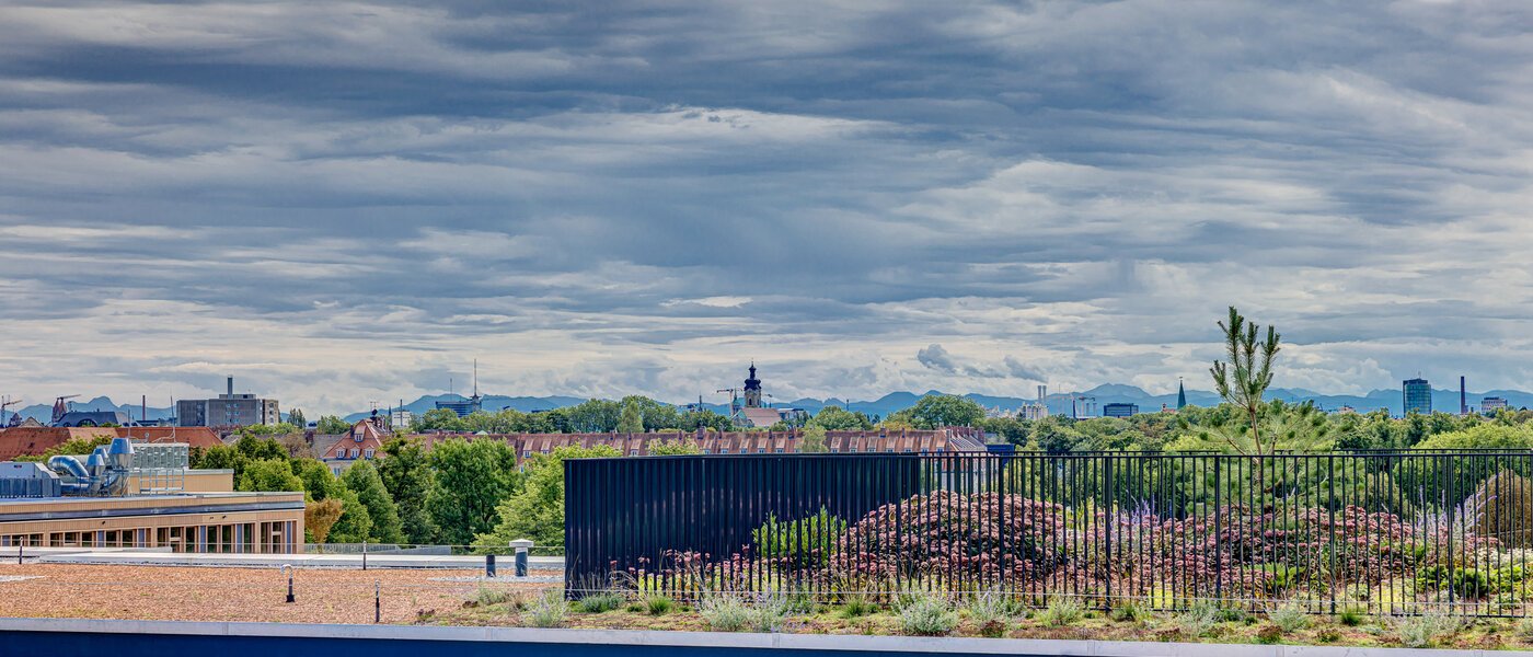Wohnung München Moosach 01 Gemeinschaftsterrasse  13450