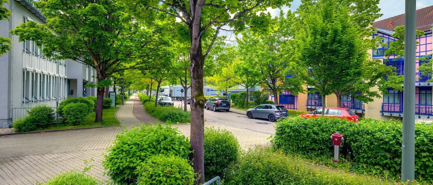 Wohnung Grasbrunn 02 Aussicht 13488