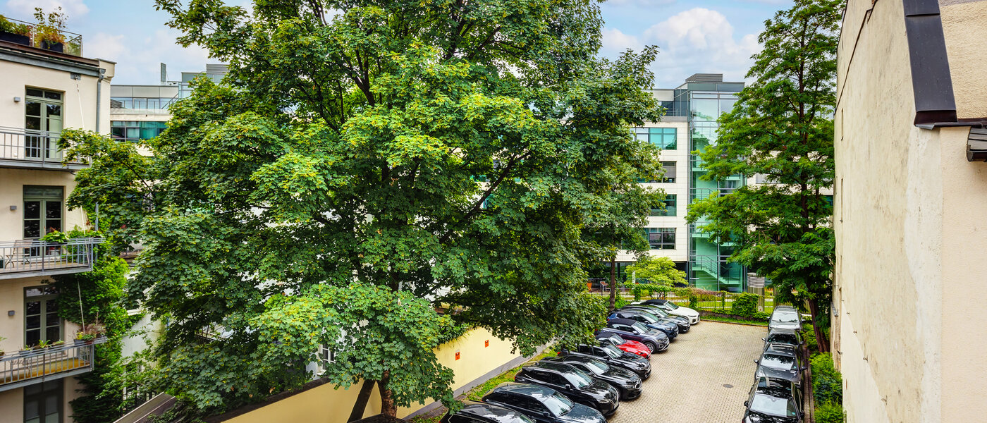 Wohnung München Lehel 03 Aussicht 13583