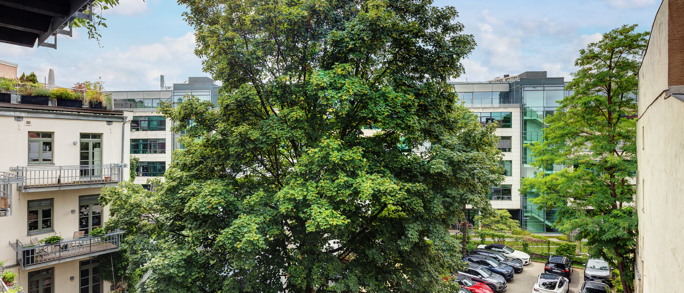 Wohnung München Lehel 04 Aussicht 13584