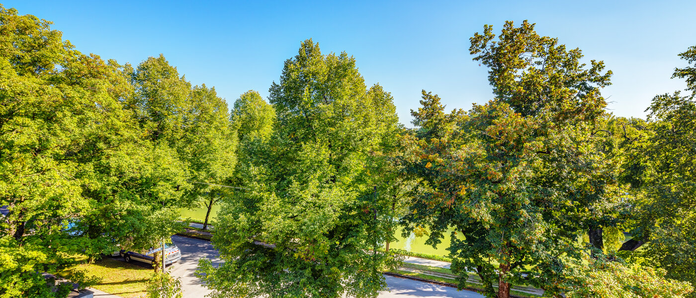 Dachgeschosswohnung München Nymphenburg 02 Aussicht 13654