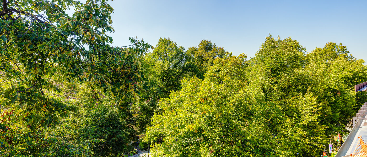 Dachterrassenwohnung München Ramersdorf 04 Aussicht 13657