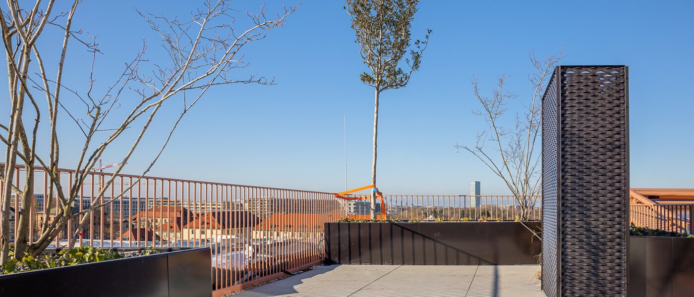 Wohnung München Schwabing-West 01 Gemeinschaftsterrasse  13754