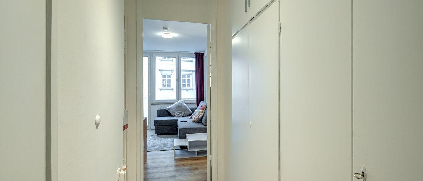 Apartment München Maxvorstadt - Universitätsviertel 01 Flur/Gang 13779