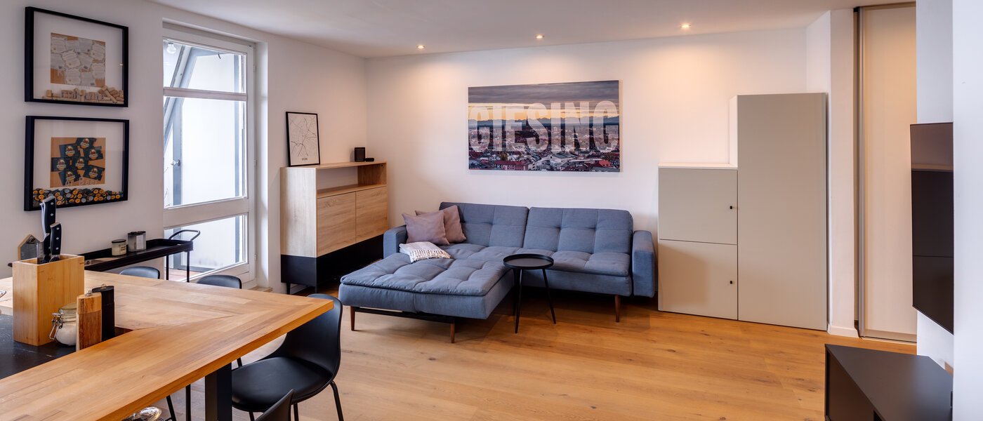 Dachterrassenwohnung München Obergiesing 03 Wohnbereich 13824