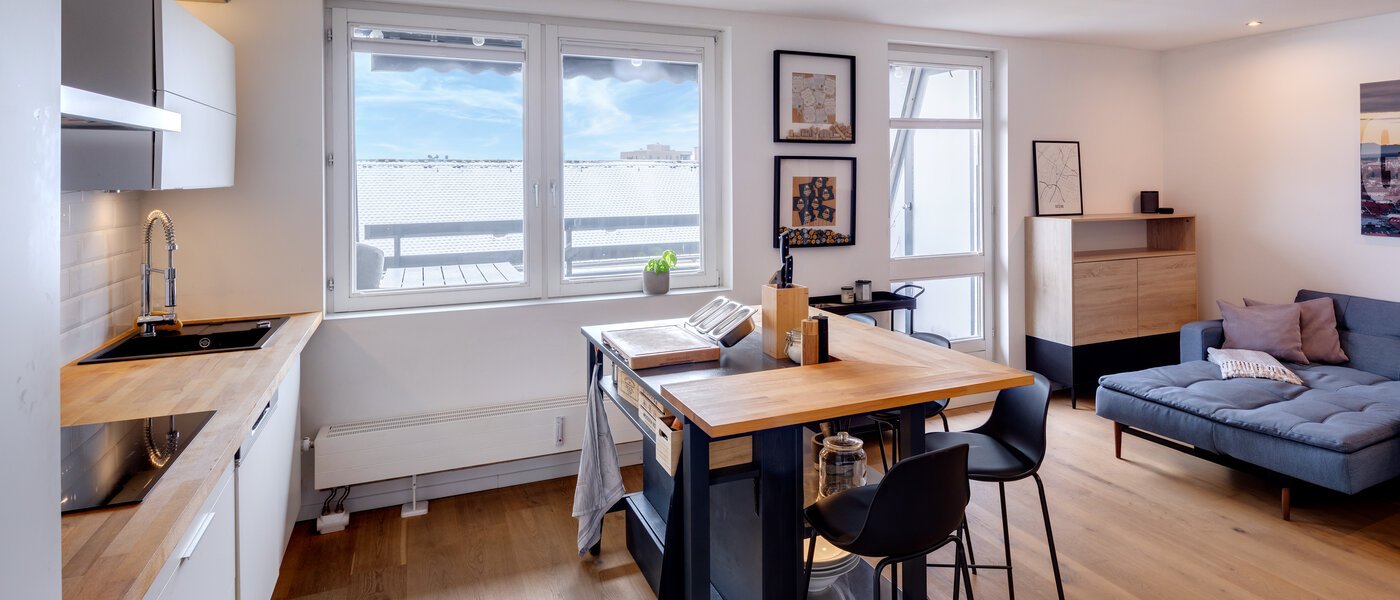 Dachterrassenwohnung München Obergiesing 05 Wohnbereich 13824