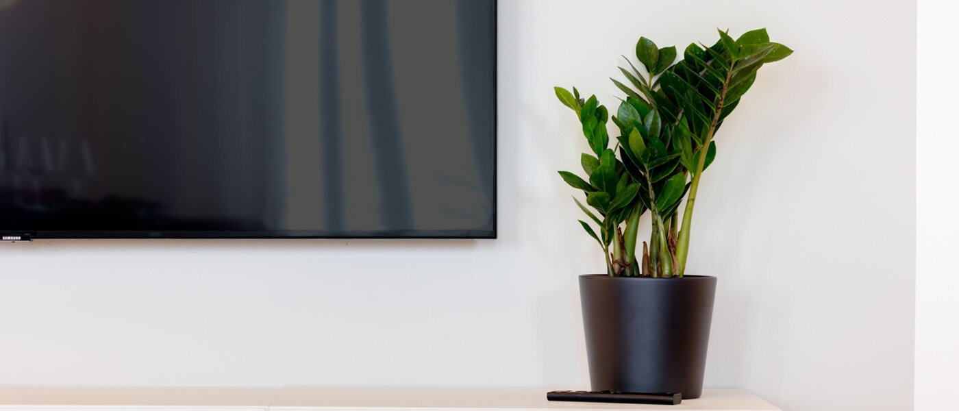 Wohnung München Haidhausen 04 Wohnbereich 13881