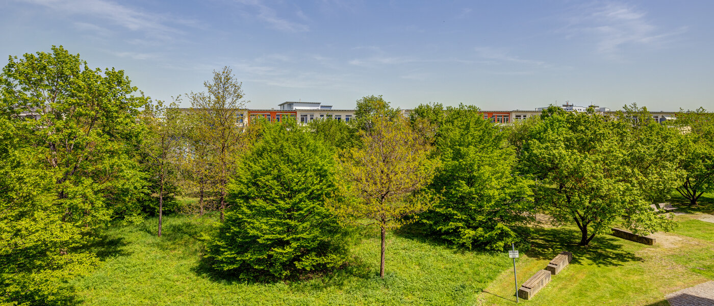 Wohnung München Trudering 04 Aussicht 13954