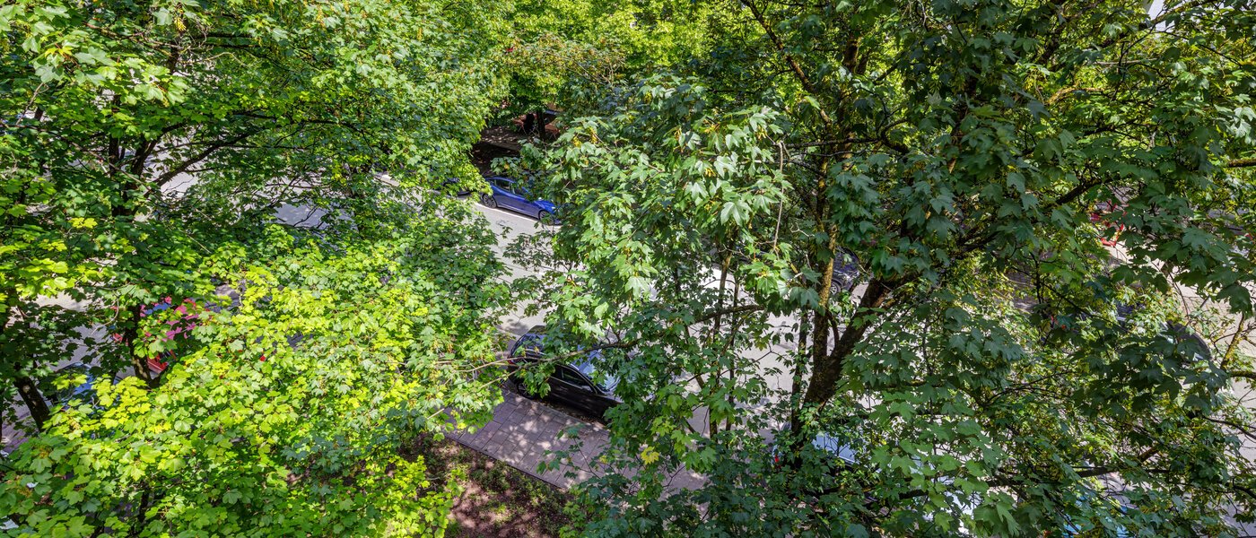 Wohnung München Lehel 02 Aussicht 13986