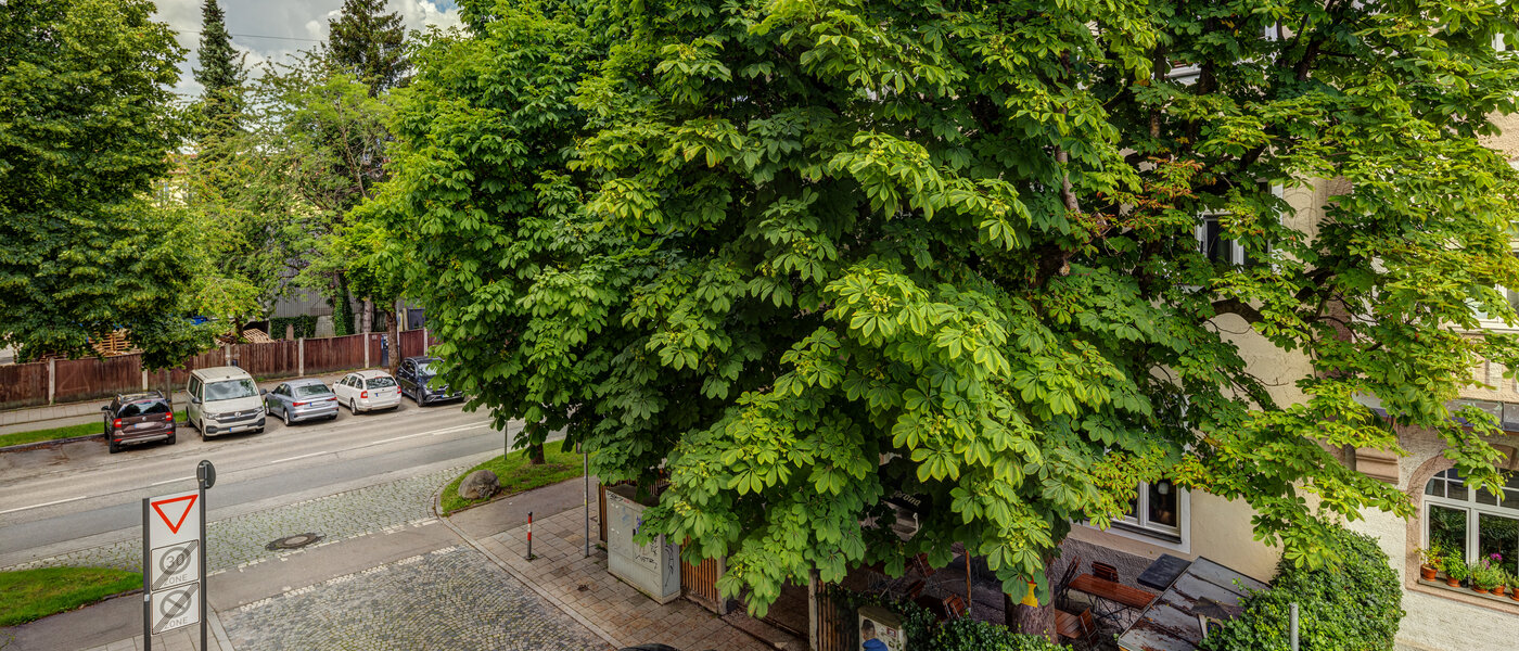 Wohnung München Thalkirchen 02 Aussicht 14008