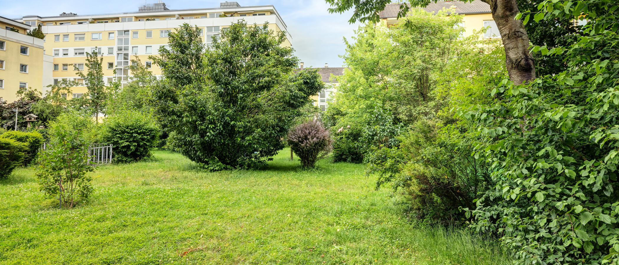 Wohnung München Obergiesing 01 Aussicht 14038