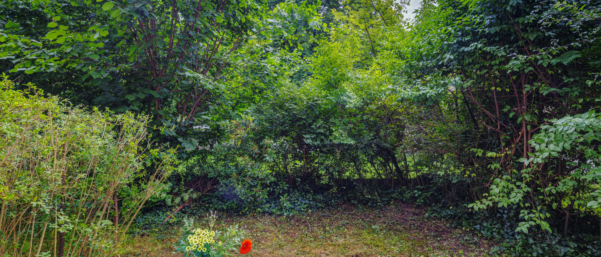 Apartment München Schwabing 03 Garten 14061