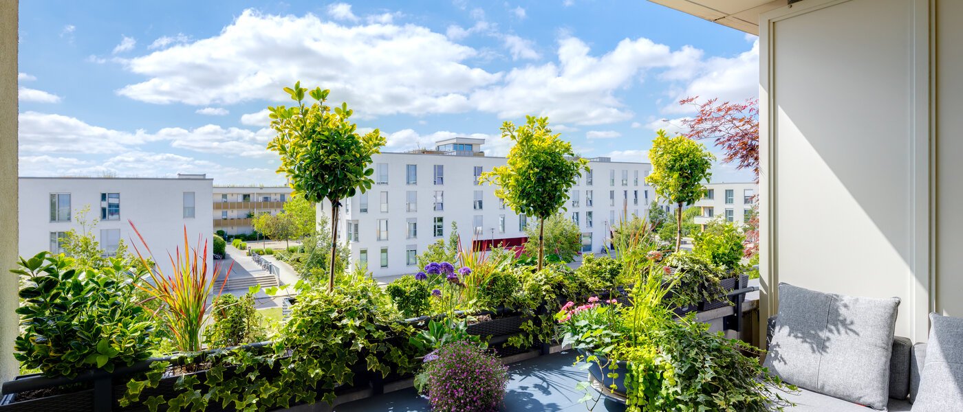 Leider nicht mehr verfügbar