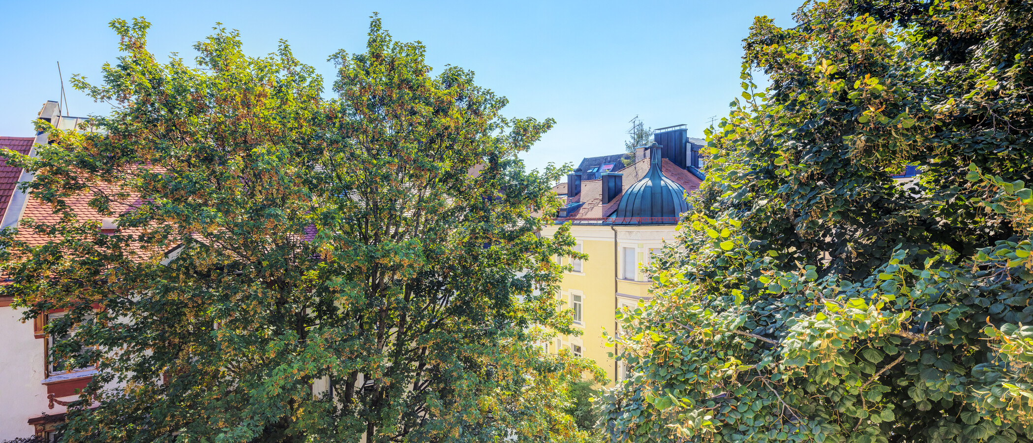 Dachgeschosswohnung München Neuhausen 01 Aussicht 14119