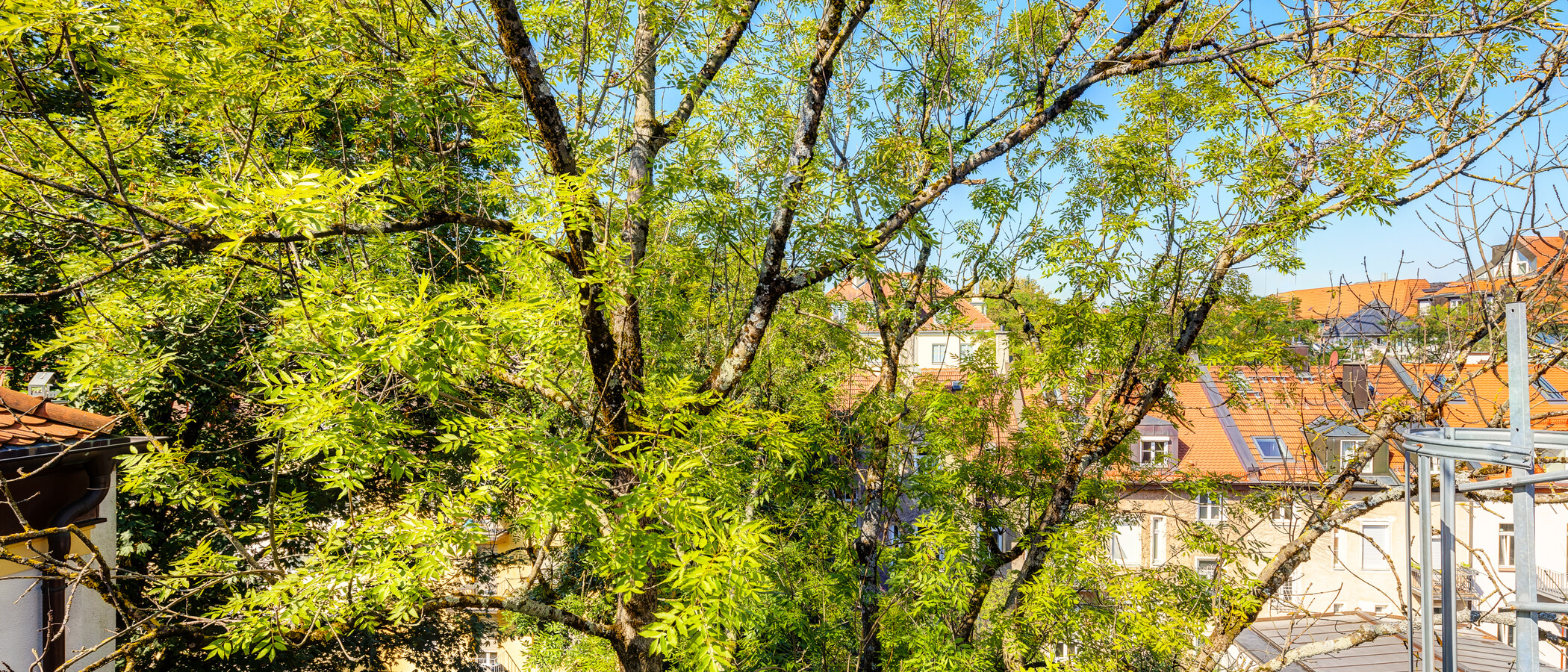 Dachgeschosswohnung München Neuhausen 03 Aussicht 14119