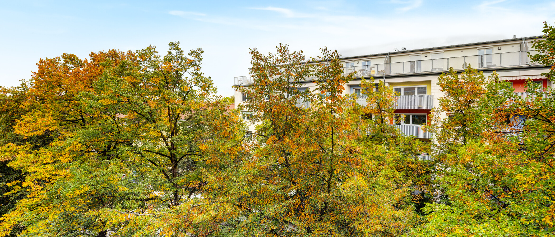 Wohnung München Bogenhausen 03 Aussicht 14181
