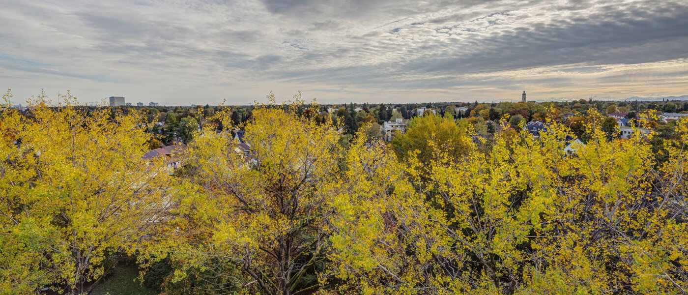 Wohnung München Parkstadt Solln 02 Aussicht 14205