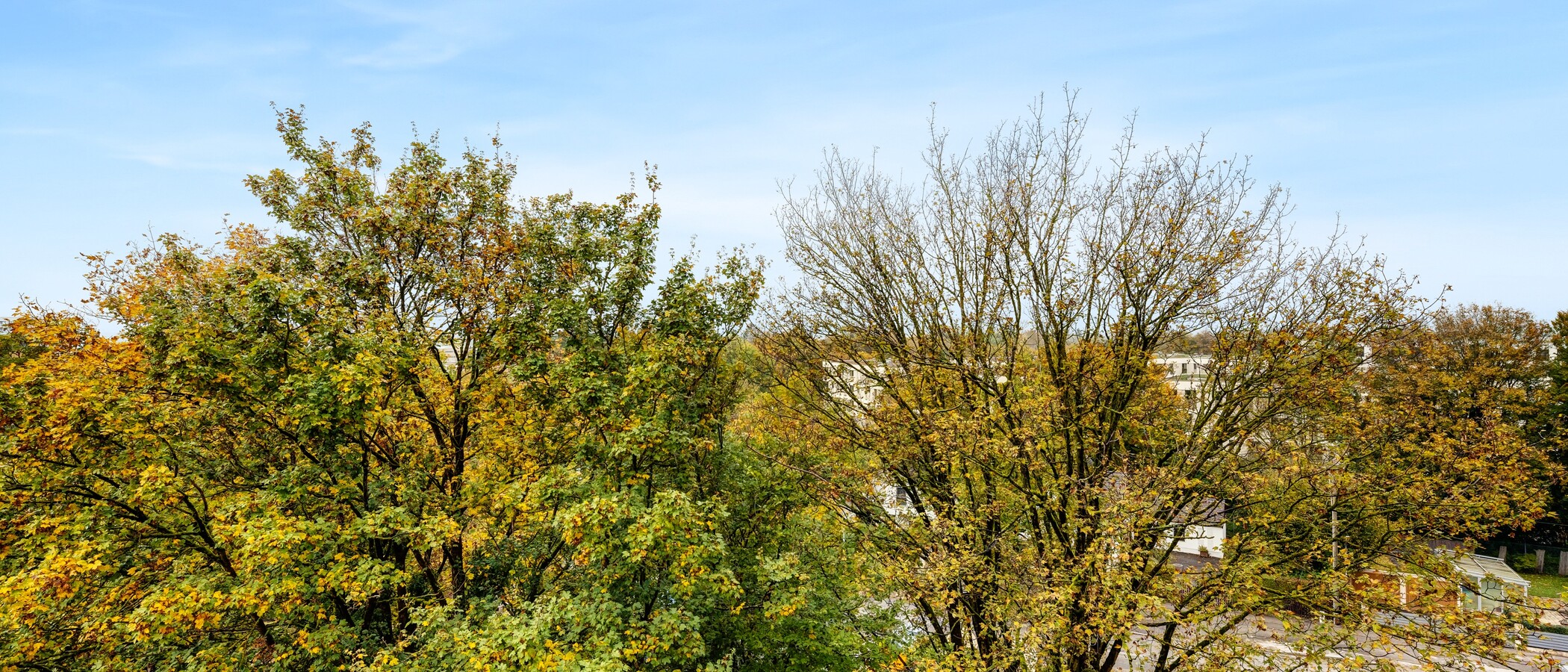 Wohnung München Aubing 03 Aussicht 14209