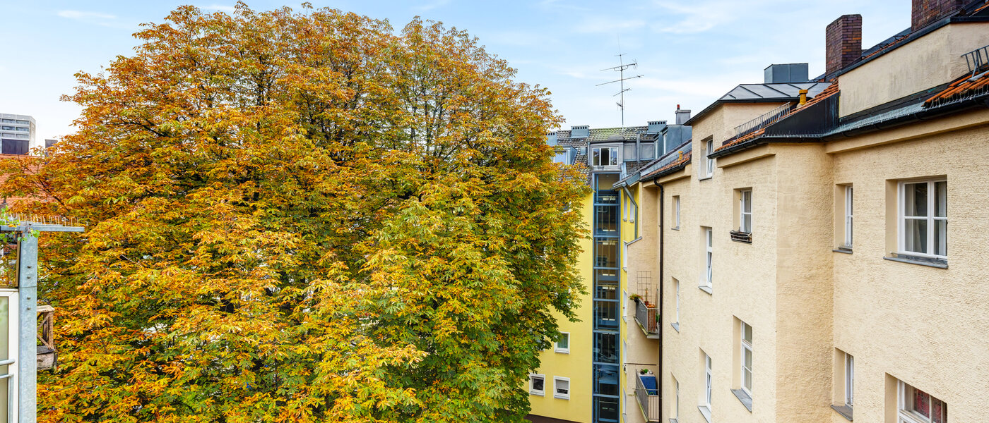 Wohnung München Thalkirchen 01 Aussicht 14224