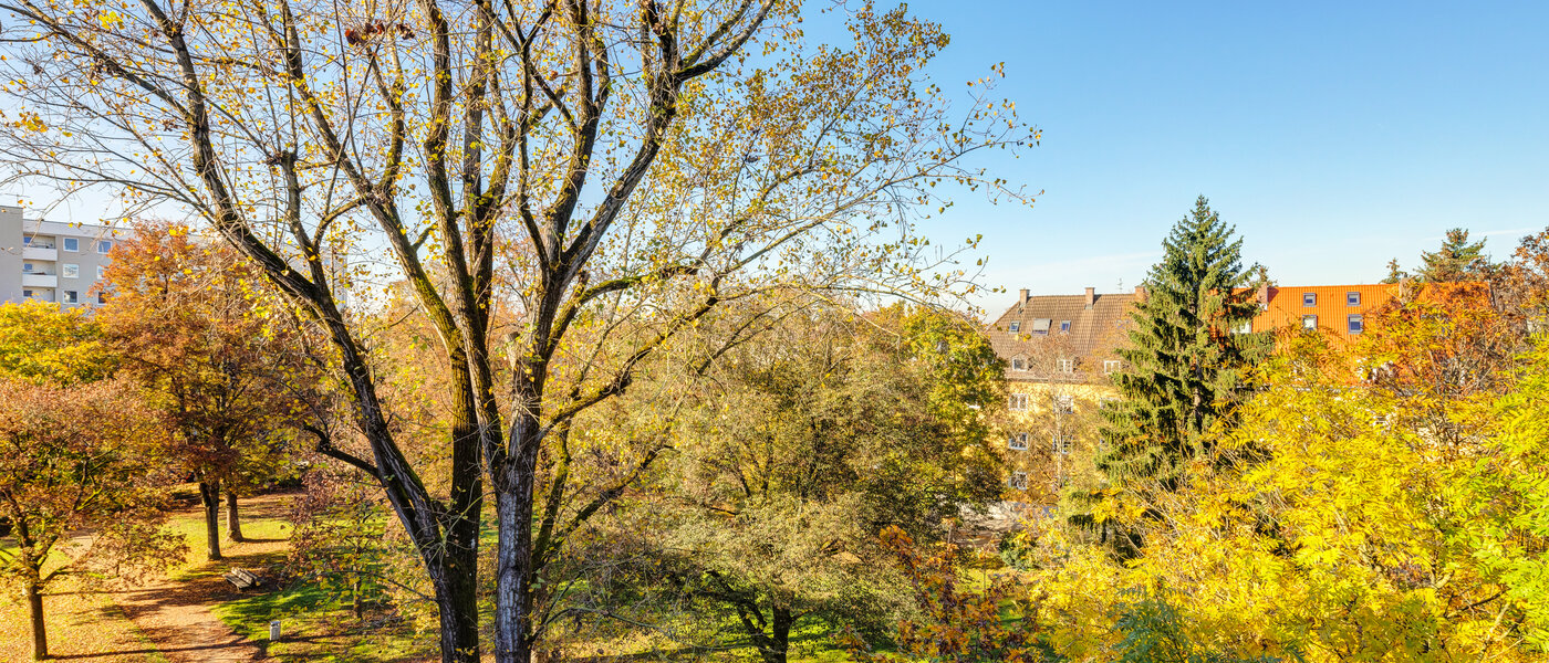 Wohnung München Harlaching 01 Aussicht 14232