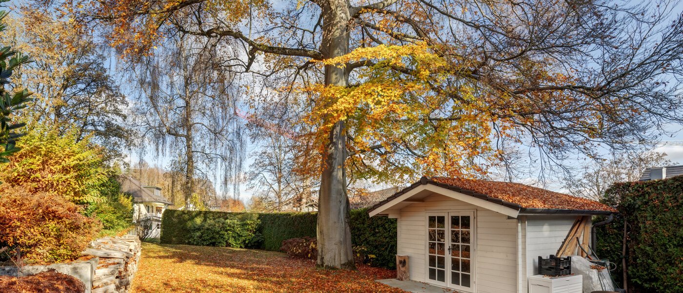 Wohnung Starnberg 01 Gemeinschaftsgarten 14249