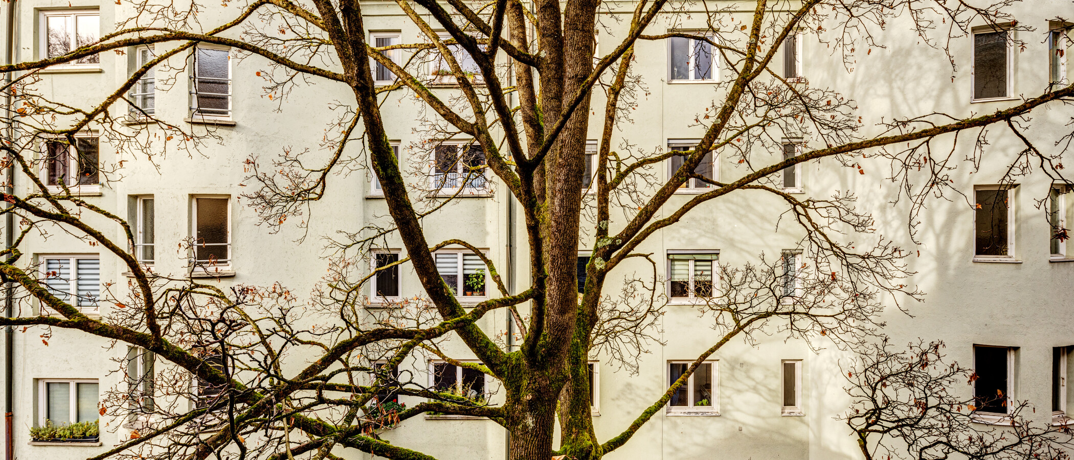 Wohnung München Lehel 04 Aussicht 14254