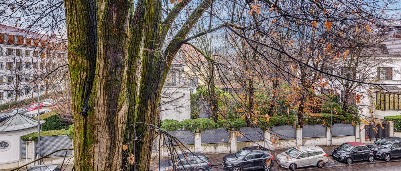 Wohnung München Altbogenhausen 01 Aussicht 14277