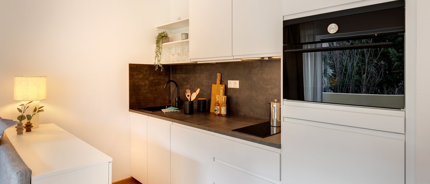 Apartment München Schwabing-Nord (zw. Leopoldstraße & Englischen Garten) 02 Küche 14305