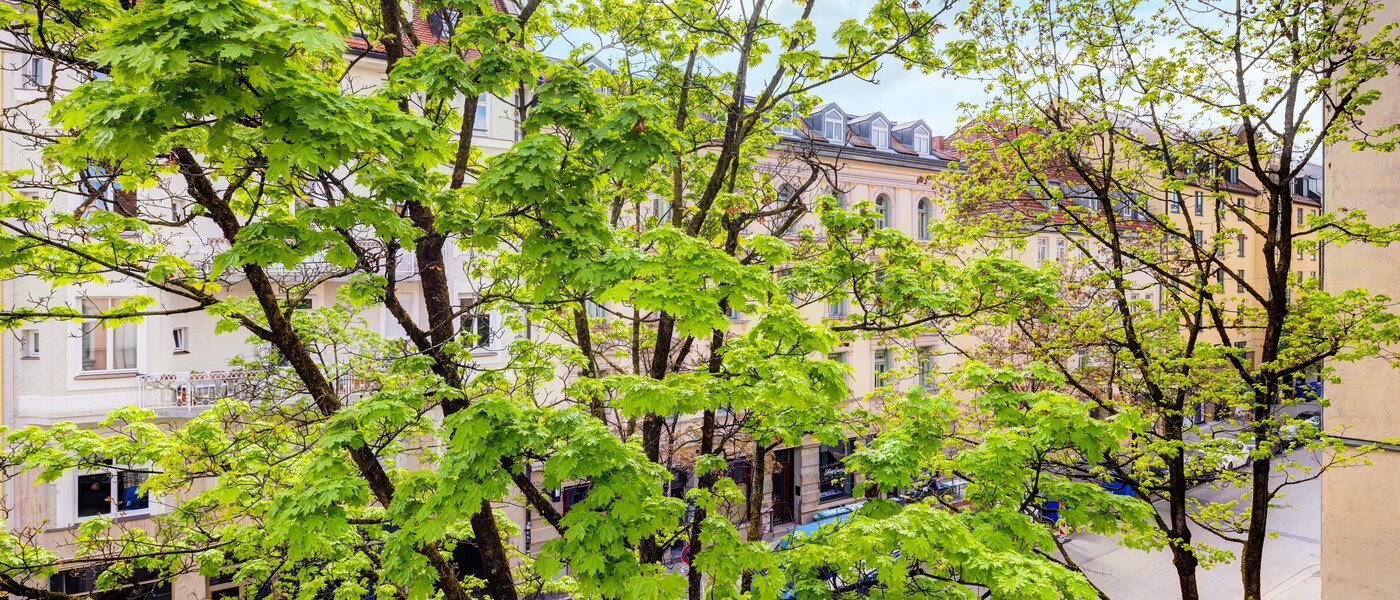Apartment München Maxvorstadt 02 Aussicht 14371