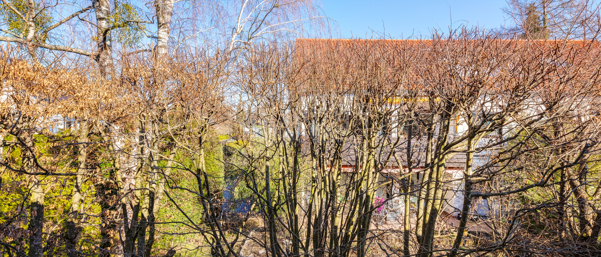 Doppelhaushälfte Pullach im Isartal 05 Aussicht 14381