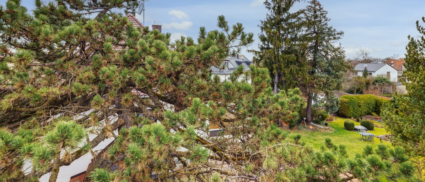 Einfamilienhaus München Daglfing 03 Aussicht 14387
