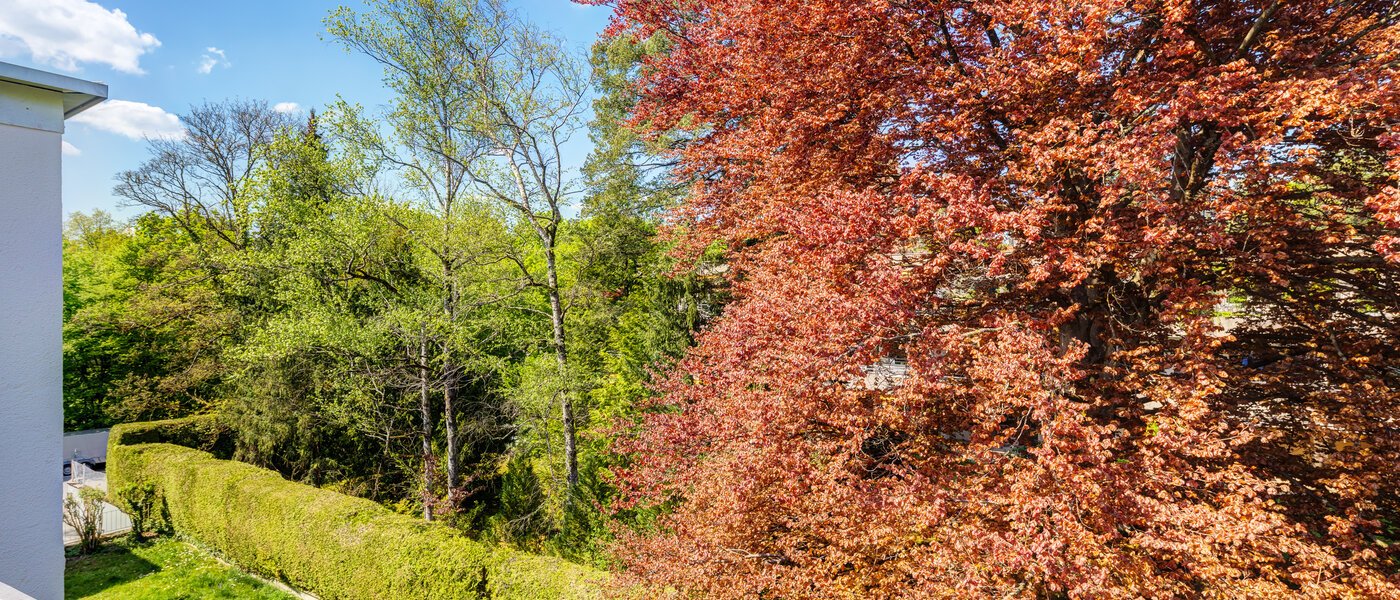 Dachterrassenwohnung München Solln 03 Aussicht 14396