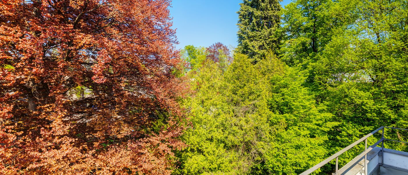 Dachterrassenwohnung München Solln 04 Aussicht 14396