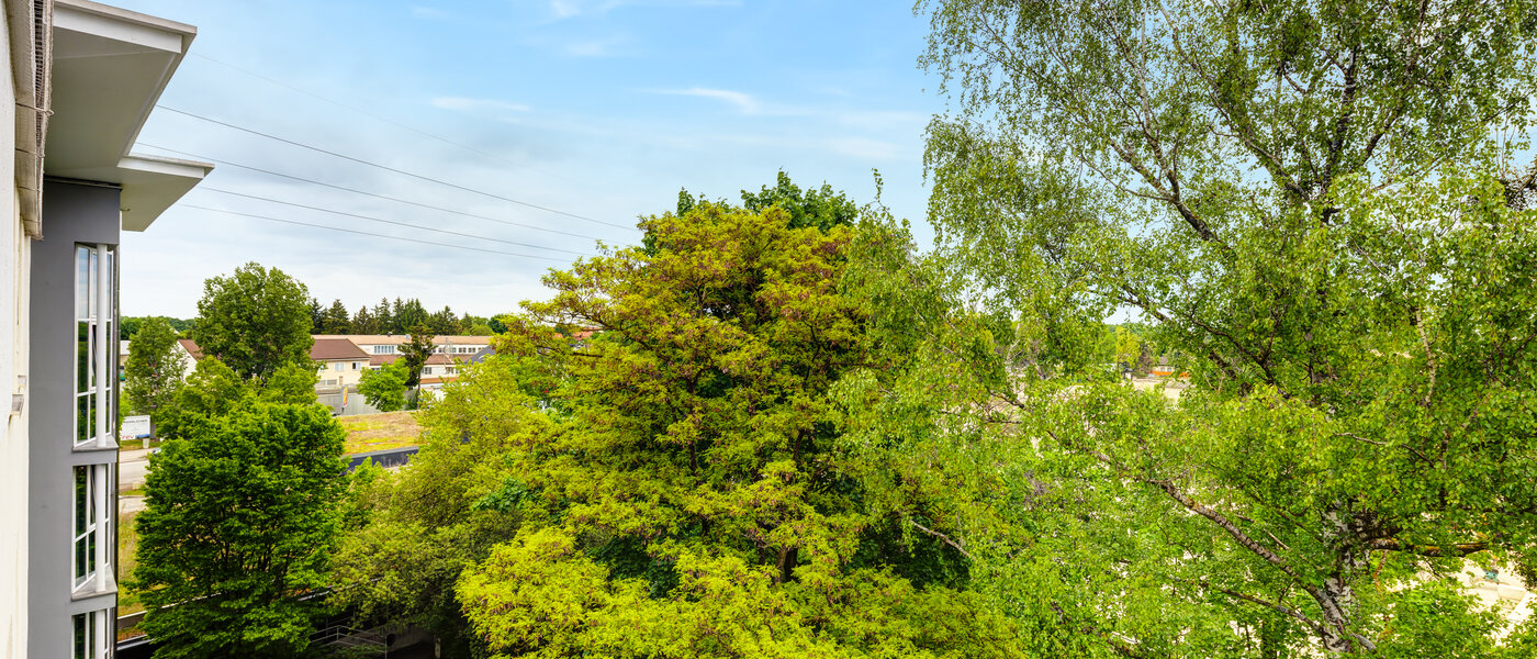 Wohnung München Freimann 01 Aussicht 14434