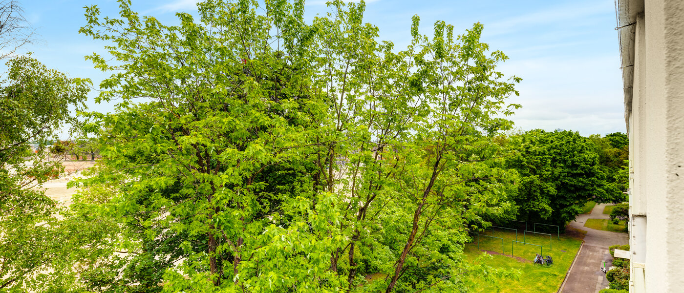 Wohnung München Freimann 03 Aussicht 14434