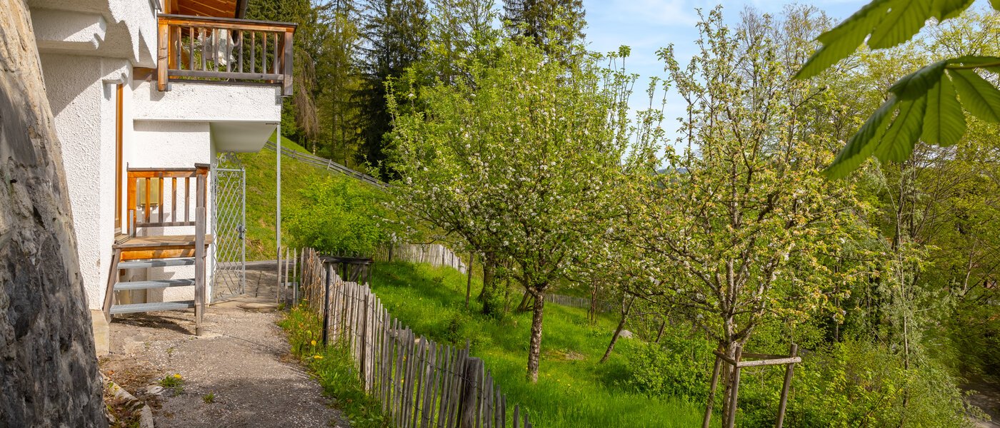 Villa Bad Wiessee 04 Garten 14436