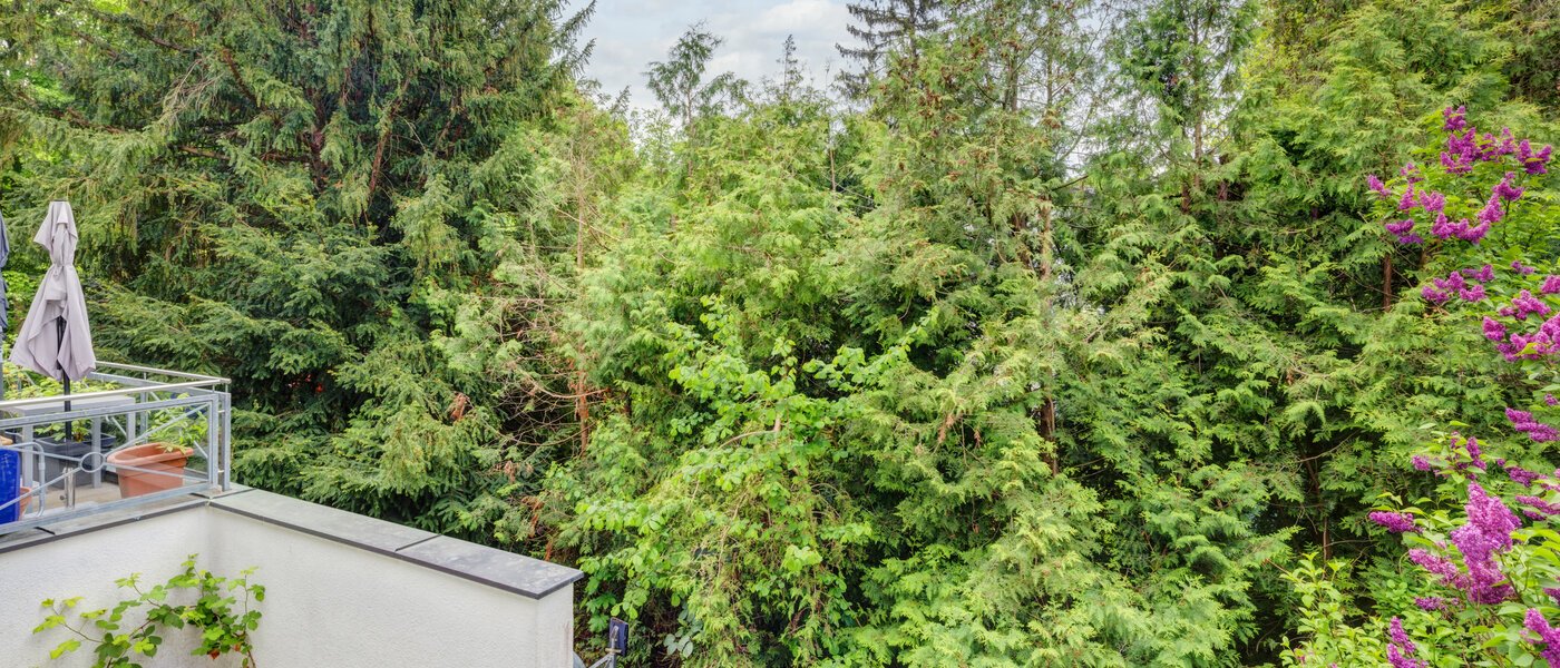 Wohnung München Thalkirchen 02 Aussicht 14439