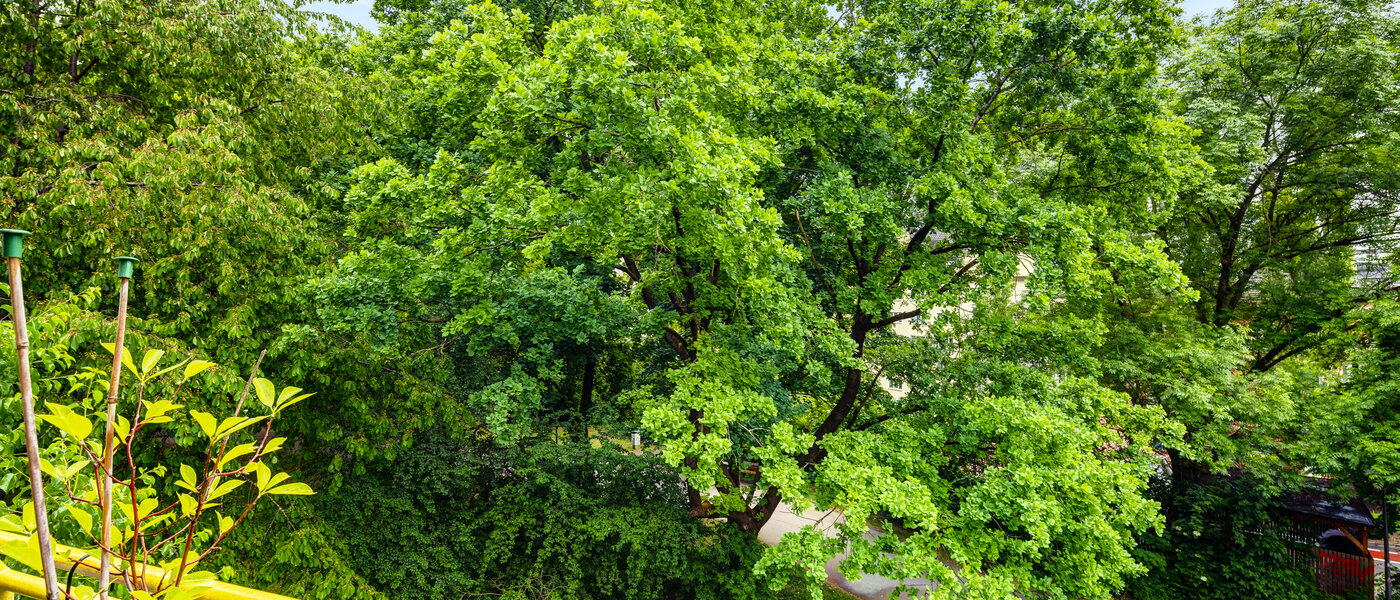 Wohnung München Sendling 01 Aussicht 14453