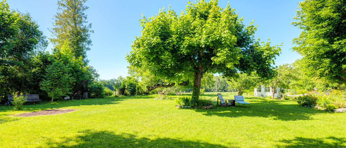 Doppelhaushälfte Icking 02 Garten 14465