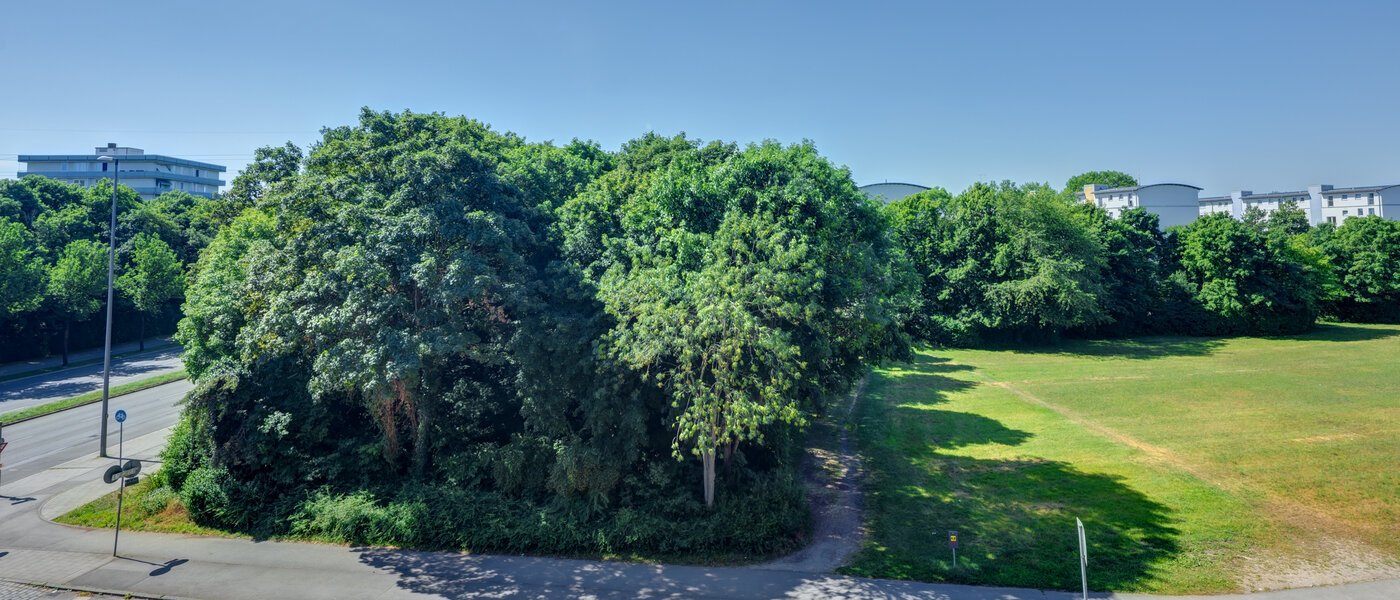 Apartment München Am Hart 01 Aussicht 14506