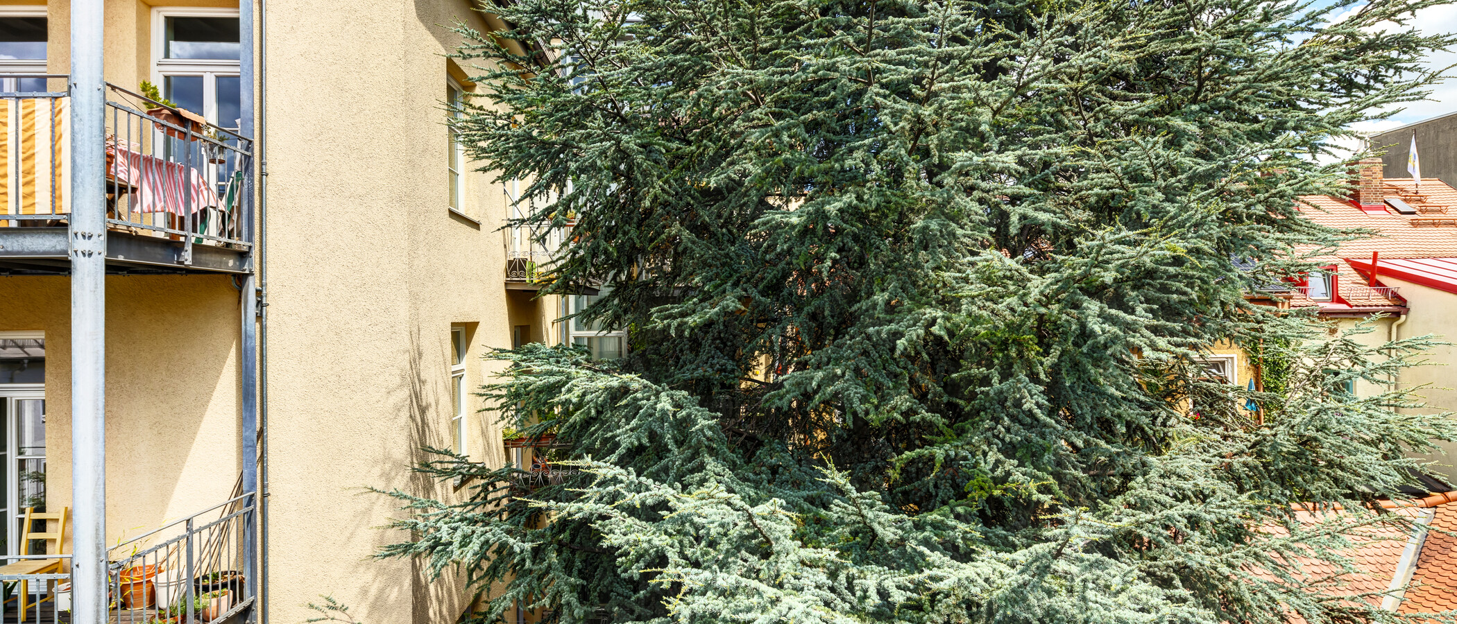 Wohnung München Neuhausen 02 Aussicht 14523