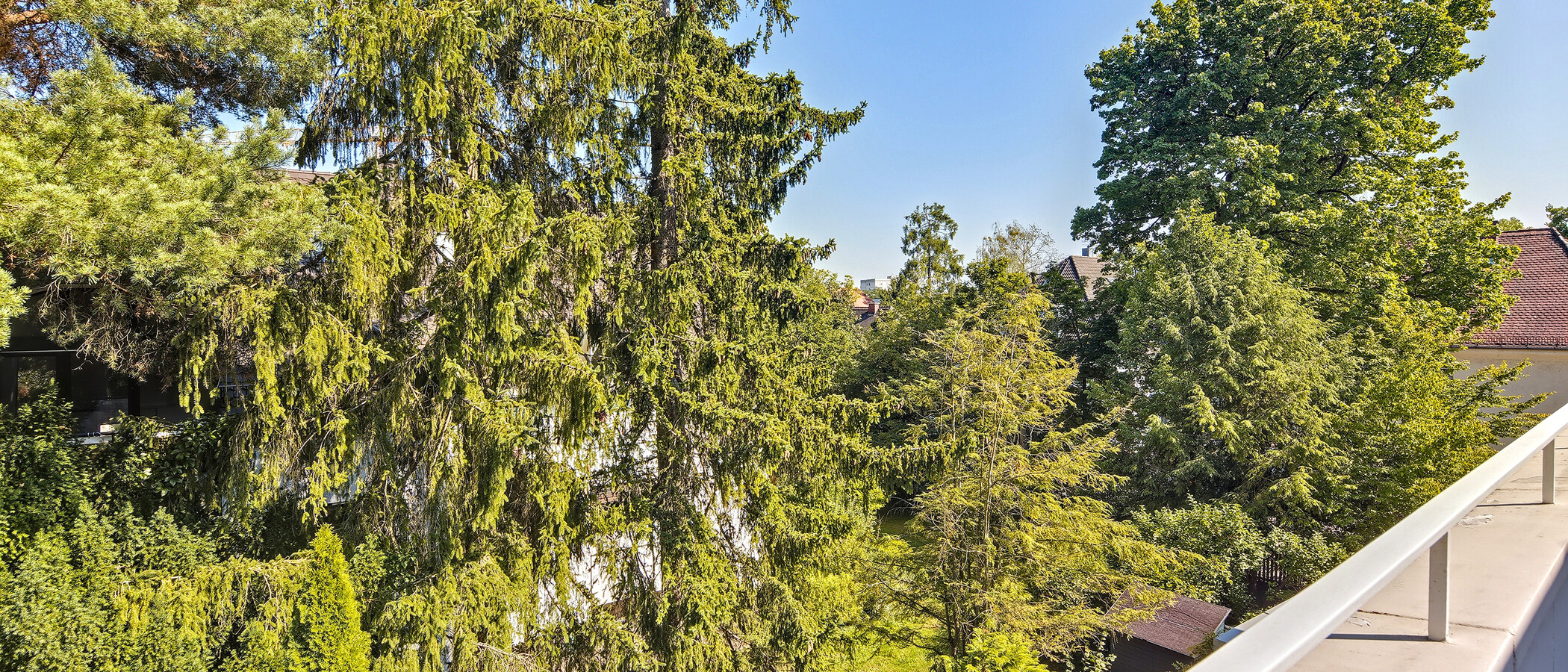Penthousewohnung München Nymphenburg 03 Aussicht 14553