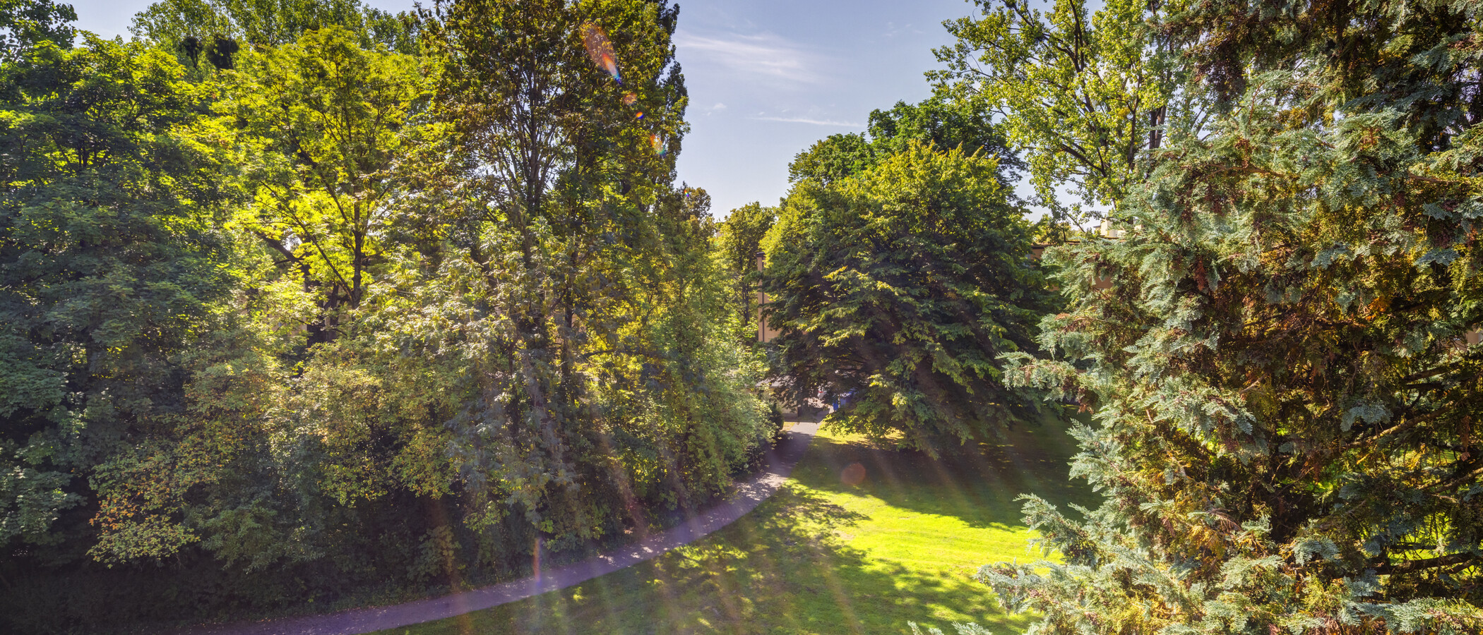 Wohnung München Parkstadt Bogenhausen 01 Aussicht 14554
