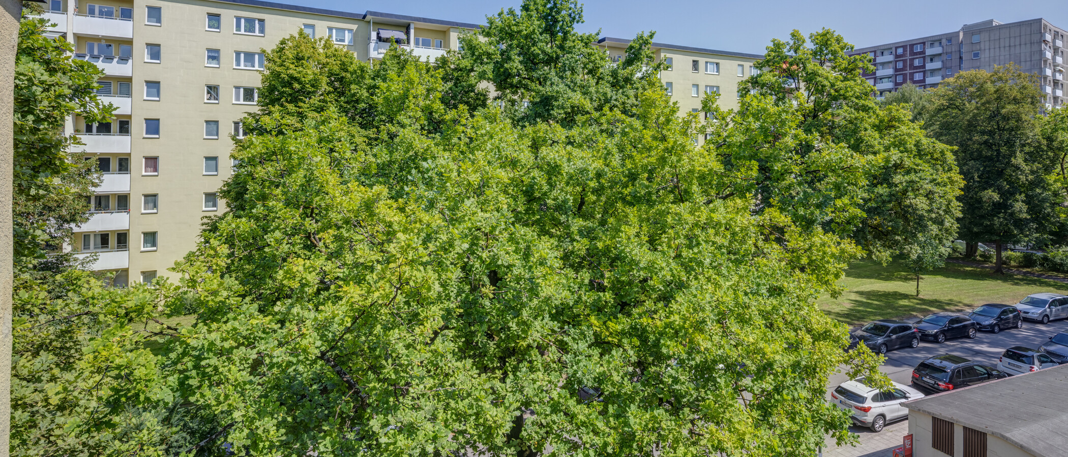 Wohnung München Parkstadt Bogenhausen 02 Aussicht 14554