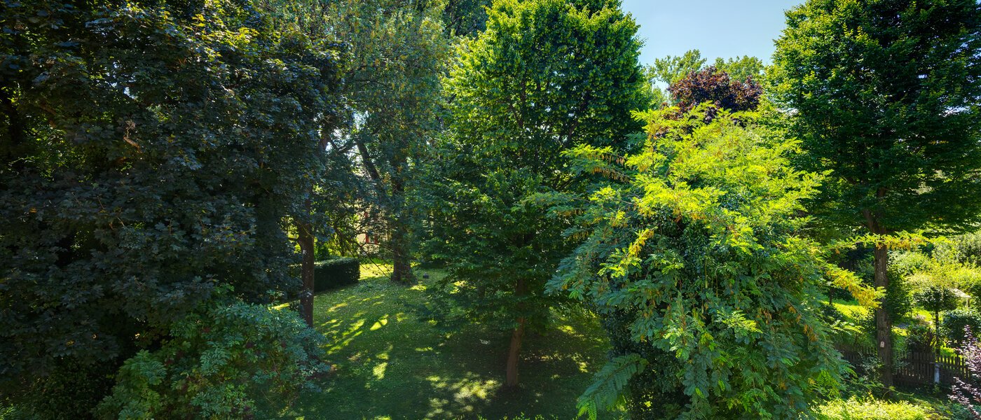 Maisonette-Galerie Wohnung München Ramersdorf 01 Aussicht 14556