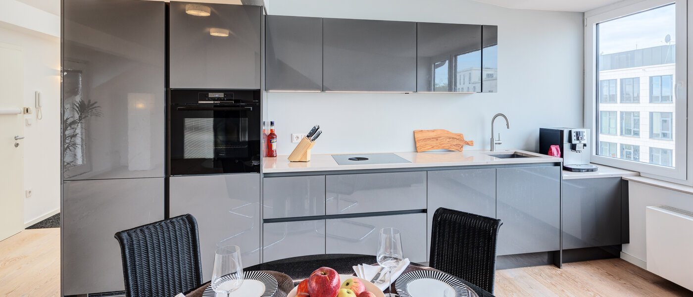 Dachgeschosswohnung München Maxvorstadt 01 Küche 14568