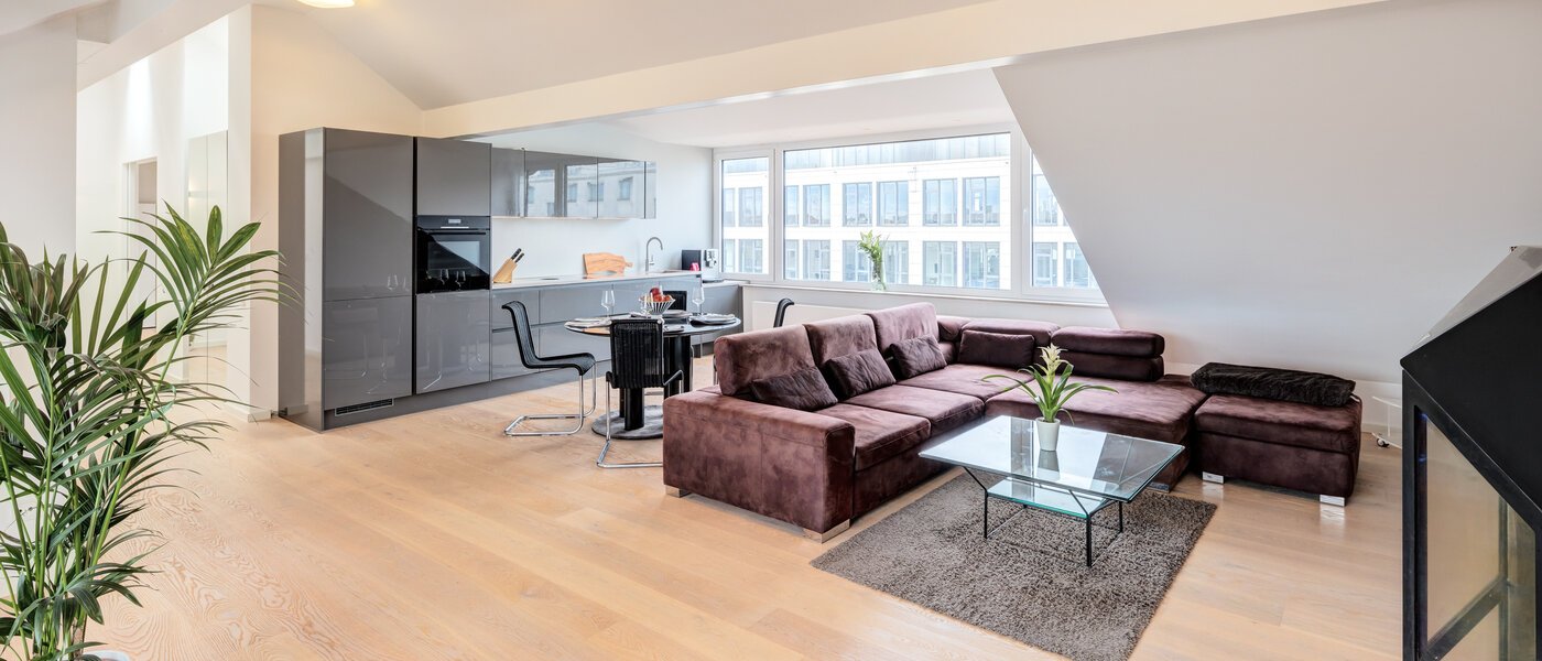 Dachgeschosswohnung München Maxvorstadt 01 Wohnbereich 14568